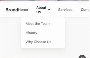 Website navigation bar dropdown menu displaying subpages under the "About Us" section including Meet the Team, History, and Why Choose Us.